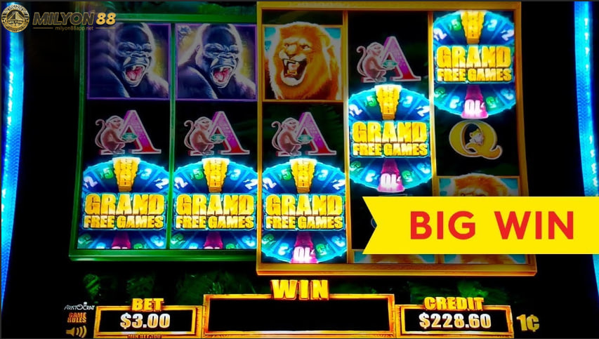 Important information related to slot spinning strategy you need to know